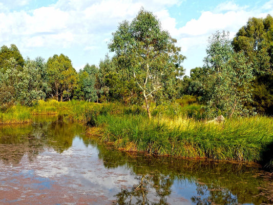 Wetlands